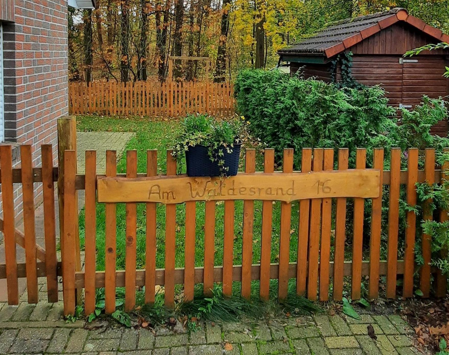 "Am Waldesrand" Re16 Villa Sögel Екстериор снимка